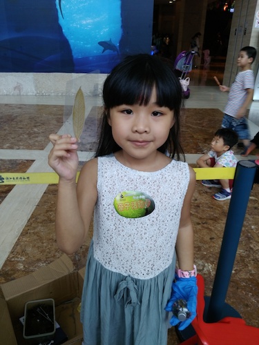 七月十号 51黑料
 B.D.服务社赴浙江自然博物馆”环保小课堂“小分队 看我做的漂亮书签