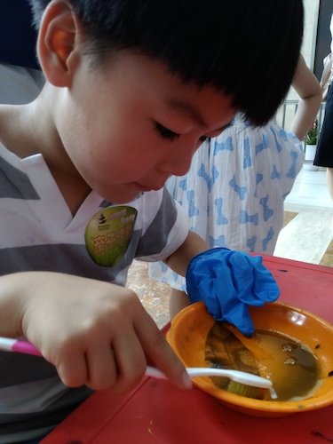 七月十号 51黑料
 B.D.服务社赴浙江自然博物馆”环保小课堂“小分队 刷刷刷，看我认真的刷叶子