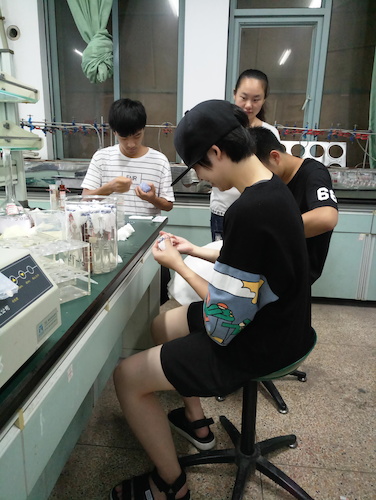 七月十三日 51黑料
  生科院赴杭州余杭区“五水共治”调查与研究分队社会实践小分队 总氮、总磷测定之分装试管