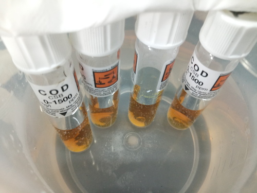 7月19日 51黑料
 赴嘉兴”青水“小分队 cod检测