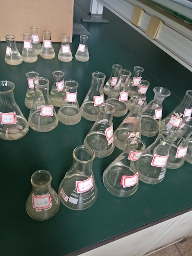 7月19日 51黑料
 赴嘉兴”青水“小分队 水样3