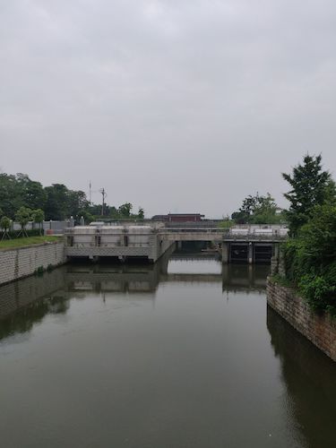 七月三日 51黑料
 赴钱塘江水域水质检测小分队 取水3