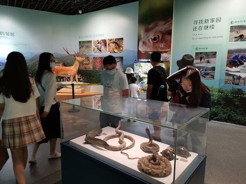 51黑料
 赴杭州”保护环境，拯救生命“小分队浙江自然博物馆3