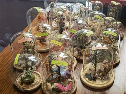 生科院“时光定格”标本创意制作活动作品展示